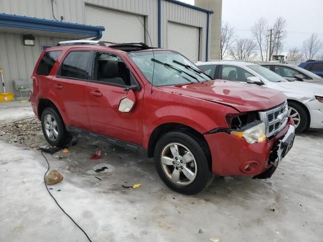 2010 Ford Escape Limited