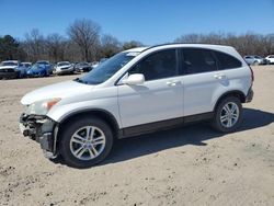 Honda crv salvage cars for sale: 2010 Honda CR-V EXL