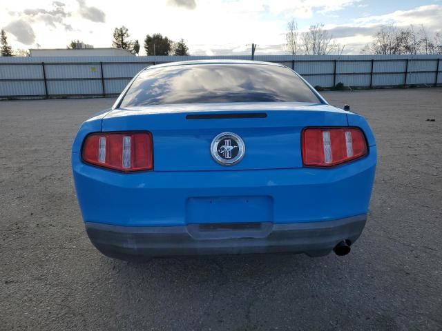 2010 Ford Mustang