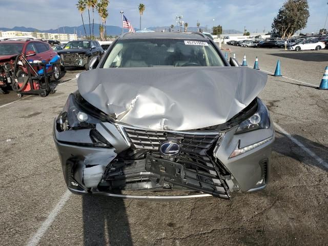 2019 Lexus NX 300H