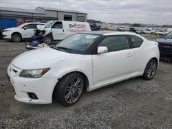 Scion salvage cars for sale: 2013 Scion TC