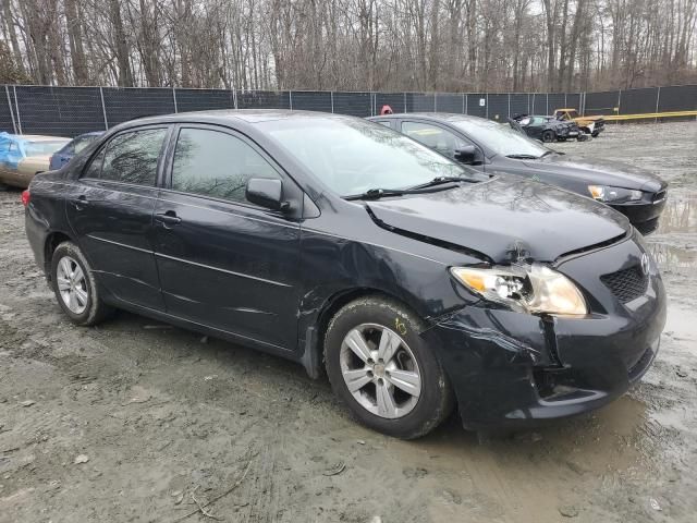 2010 Toyota Corolla Base