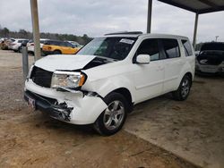 Honda Pilot salvage cars for sale: 2013 Honda Pilot EXL