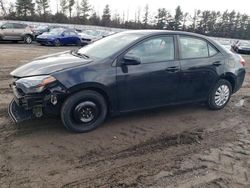 Toyota Corolla salvage cars for sale: 2017 Toyota Corolla L