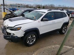 2019 Jeep Cherokee Trailhawk for sale in Louisville, KY