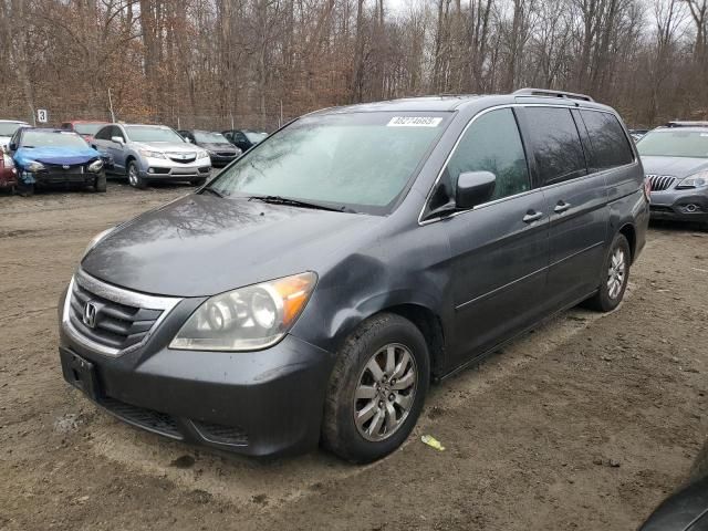 2010 Honda Odyssey EXL