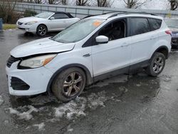 Ford Escape salvage cars for sale: 2013 Ford Escape SE