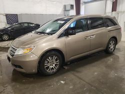 Honda Odyssey exl salvage cars for sale: 2012 Honda Odyssey EXL