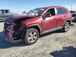 Salvage cars for sale from Copart Antelope, CA: 2020 Toyota Rav4 XLE