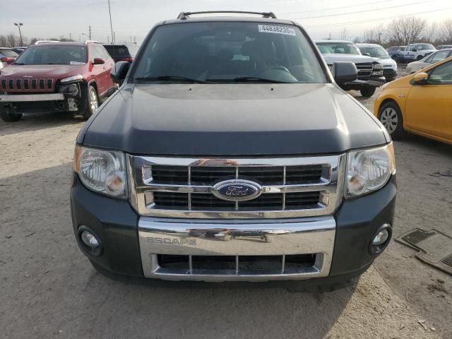 2009 Ford Escape Limited