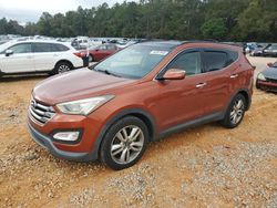 Hyundai Santa fe salvage cars for sale: 2014 Hyundai Santa FE Sport