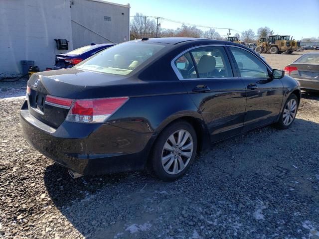 2011 Honda Accord EXL