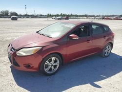 2013 Ford Focus SE en venta en Arcadia, FL