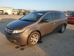 Honda Odyssey salvage cars for sale: 2015 Honda Odyssey EXL