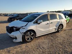 Honda Odyssey salvage cars for sale: 2024 Honda Odyssey Touring