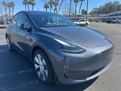 Tesla Model y Vehiculos salvage en venta: 2023 Tesla Model Y