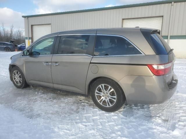 2013 Honda Odyssey EXL