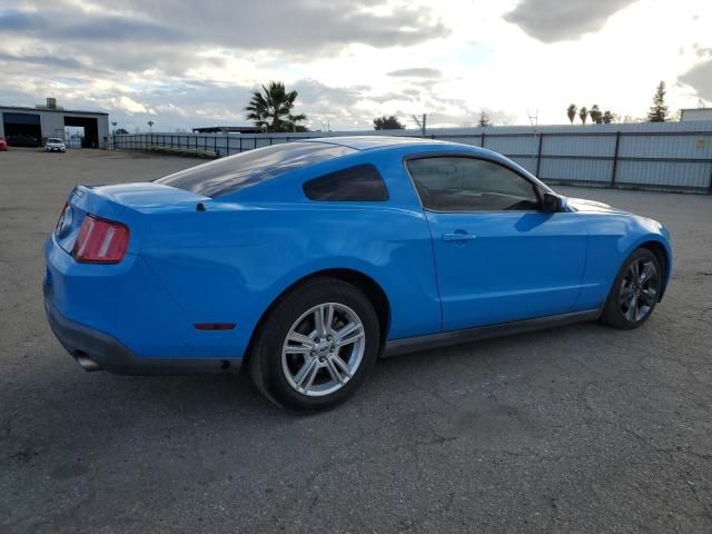 2010 Ford Mustang
