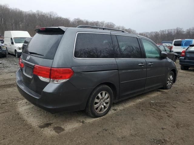 2010 Honda Odyssey EXL