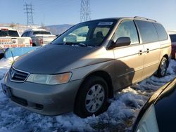 Salvage cars for sale from Copart Littleton, CO: 2004 Honda Odyssey EX