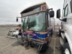 2016 Gillig Transit Bus Low