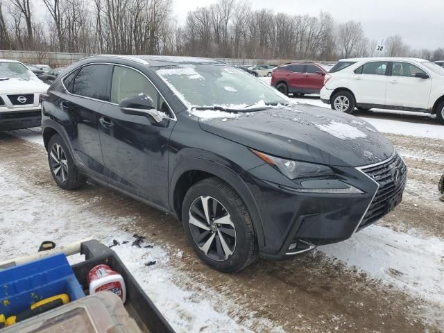 2020 Lexus NX 300H