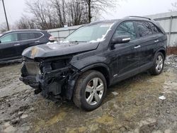 KIA salvage cars for sale: 2013 KIA Sorento EX