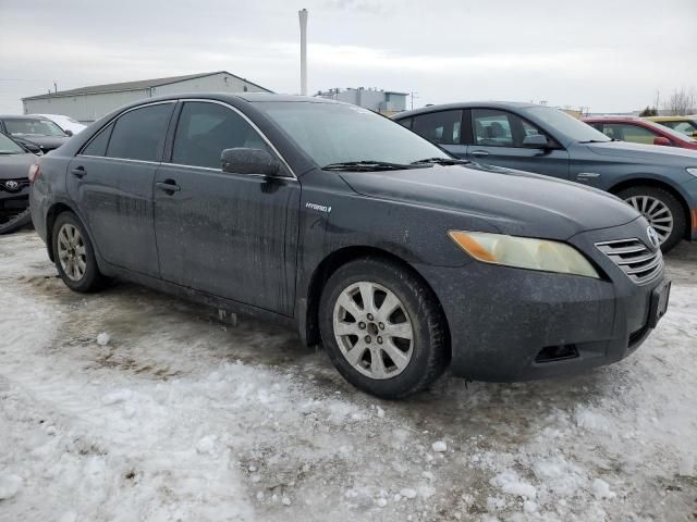 2009 Toyota Camry Hybrid