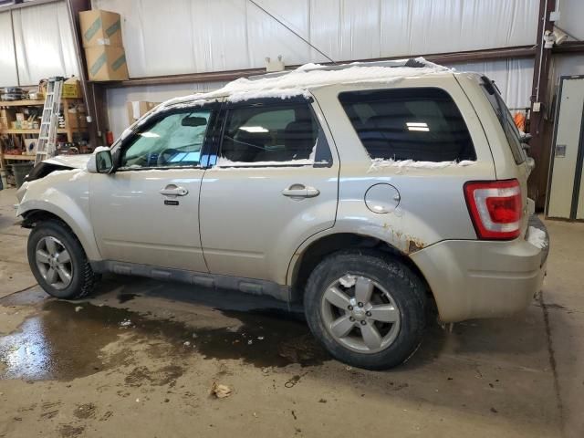 2011 Ford Escape Limited