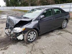 Toyota salvage cars for sale: 2010 Toyota Corolla Base