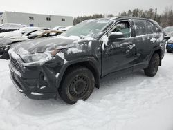 2019 Toyota Rav4 Limited for sale in Cookstown, ON