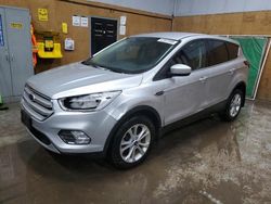 Ford Escape salvage cars for sale: 2019 Ford Escape SE