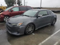 Scion tc Vehiculos salvage en venta: 2014 Scion TC