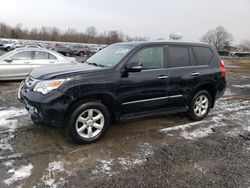 Lexus salvage cars for sale: 2012 Lexus GX 460