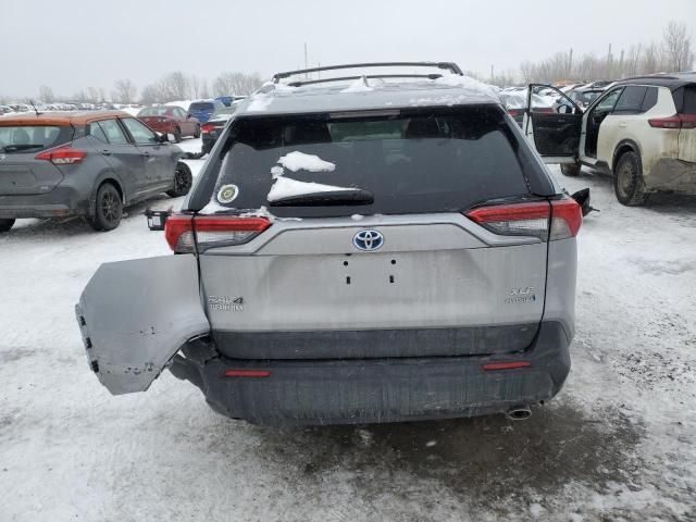 2024 Toyota Rav4 XLE