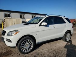 Salvage cars for sale from Copart Kapolei, HI: 2012 Mercedes-Benz ML 350 4matic