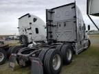 2023 Freightliner Cascadia 126