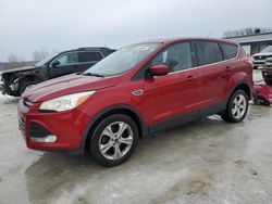 Ford Escape salvage cars for sale: 2014 Ford Escape SE