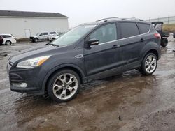 Ford Escape Titanium salvage cars for sale: 2013 Ford Escape Titanium