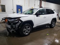 Toyota rav4 salvage cars for sale: 2024 Toyota Rav4 LE