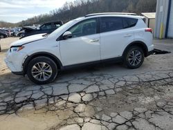 Toyota rav4 salvage cars for sale: 2016 Toyota Rav4 HV XLE