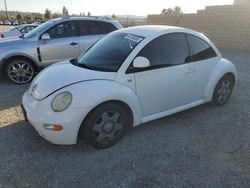 Volkswagen salvage cars for sale: 1999 Volkswagen New Beetle GLS