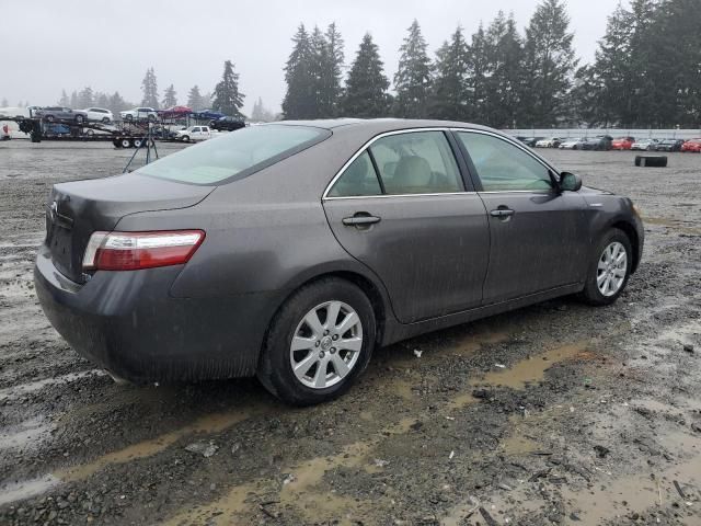 2008 Toyota Camry Hybrid