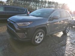 Toyota rav4 salvage cars for sale: 2019 Toyota Rav4 XLE