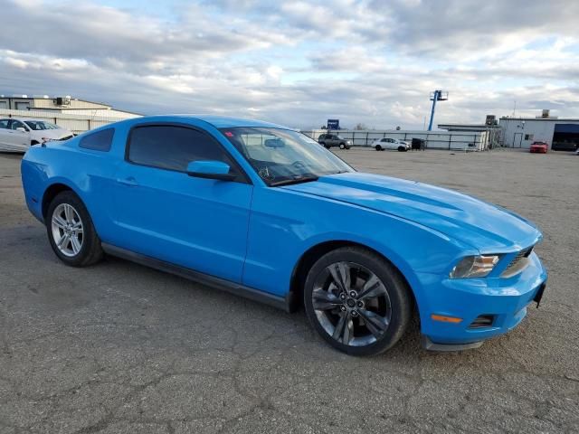 2010 Ford Mustang
