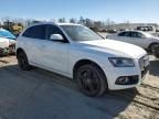 2014 Audi Q5 TDI Premium Plus