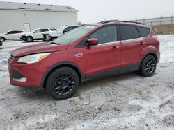 2014 Ford Escape SE for sale in Portland, MI