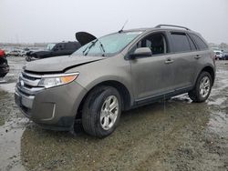 Ford Edge salvage cars for sale: 2014 Ford Edge SEL