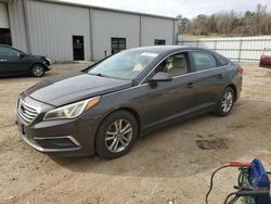 Hyundai Sonata salvage cars for sale: 2017 Hyundai Sonata SE