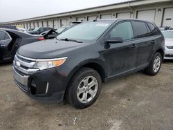 2014 Ford Edge SEL for sale in Louisville, KY